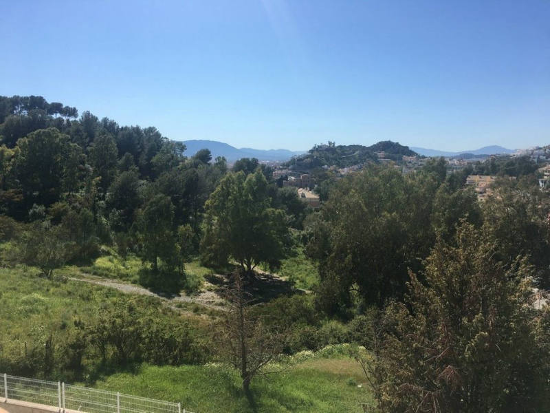 Alquiler en Málaga