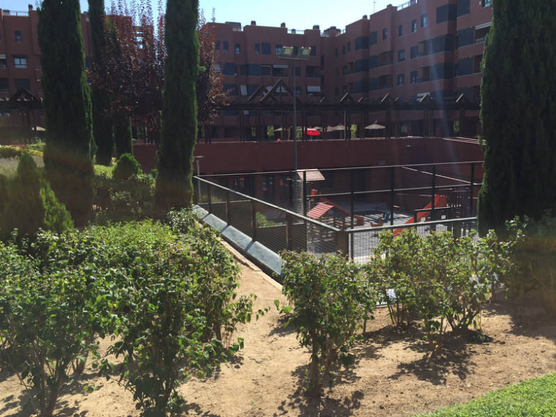 Alquiler en Madrid